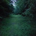 IMG_20240718_223501.jpg | Attribution: ngws | License: CC_ZERO_1_0